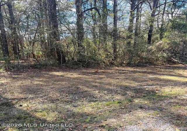 Photo 3 of Land for sale at E Lake Cypress Dr, Perkinston, MS 39573 | MLS# 4165367 | Listing updated on 2026-10-13
