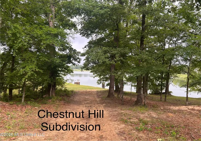 Photo 1 of Land for sale at Chestnut Hl Pt, Flora, MS 39071 | MLS# 4165329 | Listing updated on 2026-10-12