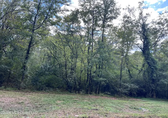 Photo 1 of Land for sale at 0 Mccluer Rd, Jackson, MS 39212 | MLS# 4165346 | Listing updated on 2026-10-13