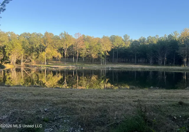 Land for sale at 271 Tisdale Rd, Madison, MS 39110 | MLS# 4165536