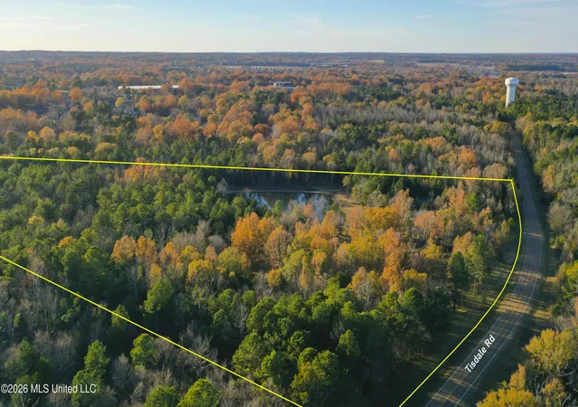 Photo 3 of Land for sale at 271 Tisdale Rd, Madison, MS 39110 | MLS# 4165536 | Listing updated on 2026-10-14