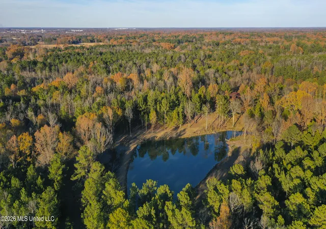 Photo 4 of Land for sale at 271 Tisdale Rd, Madison, MS 39110 | MLS# 4165536 | Listing updated on 2026-10-14