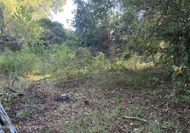 Photo 2 of Single family home for sale at 525 Maple St, Jackson, MS 39203 | MLS# 4165452 | Listing updated on 2026-10-14