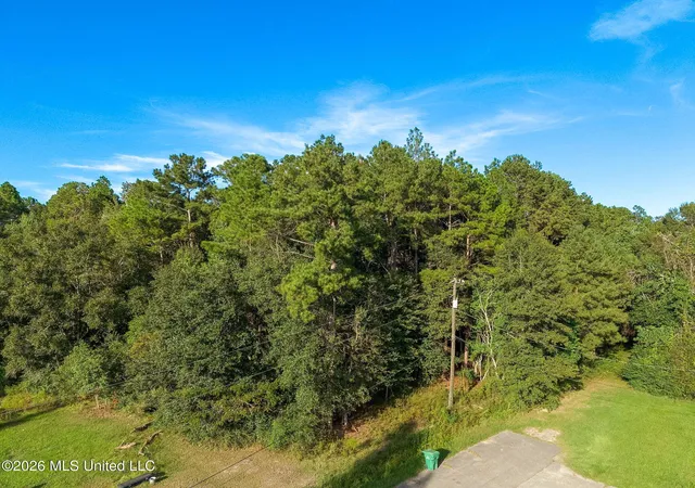 Photo 2 of Land for sale at 0 Williamsburg Rd, Picayune, MS 39466 | MLS# 4165457 | Listing updated on 2026-10-14