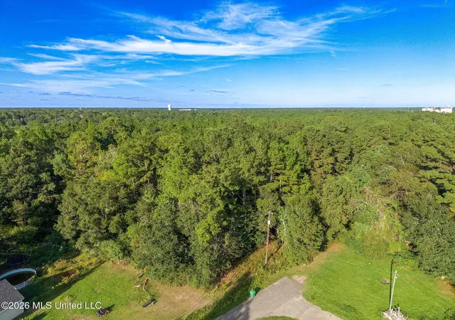 Photo 3 of Land for sale at 0 Williamsburg Rd, Picayune, MS 39466 | MLS# 4165457 | Listing updated on 2026-10-14