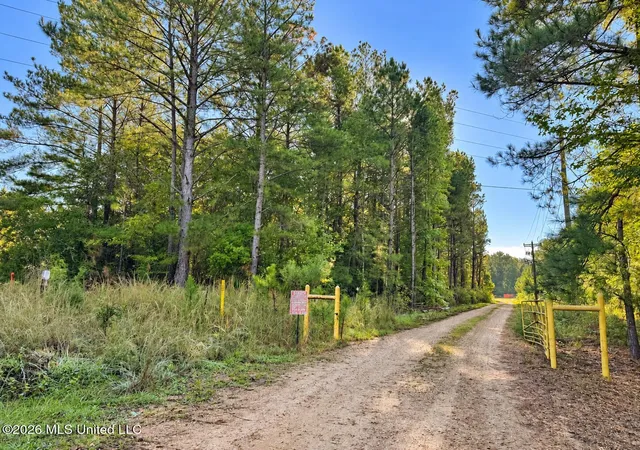 Land for sale at 1020 Robert Jones Rd, Summit, MS 39666 | MLS# 4165490