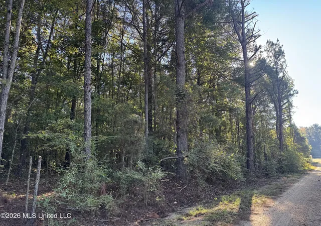 Photo 2 of Land for sale at 1020 Robert Jones Rd, Summit, MS 39666 | MLS# 4165490 | Listing updated on 2026-10-15