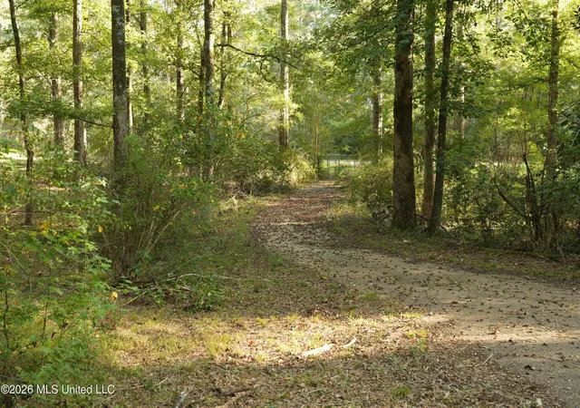 Photo 2 of Land for sale at US 98, Summit, MS 39666 | MLS# 4165504 | Listing updated on 2026-10-14