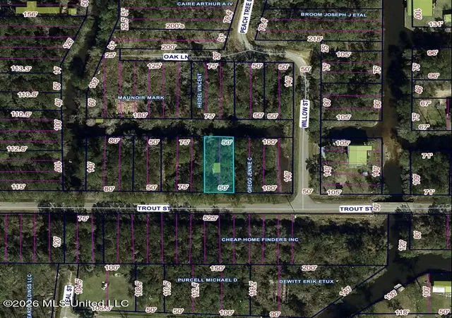 Photo 1 of Land for sale at Trout St, Bay Saint Louis, MS 39520 | MLS# 4165529 | Listing updated on 2026-10-14