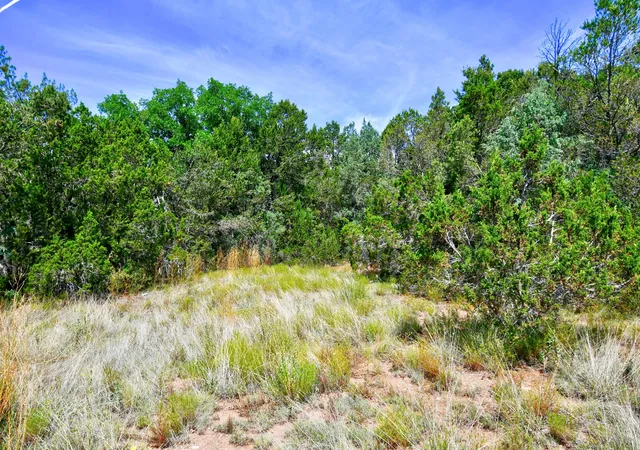 Photo 3 of Land for sale at 12141 Nm State 14, Cedar Crest, NM 87008 | MLS# 1039653 | Listing updated on 2026-09-10