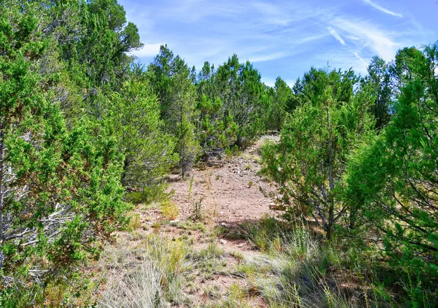 Photo 3 of Land for sale at 12141 Nm State 14, Cedar Crest, NM 87008 | MLS# 1039653 | Listing updated on 2026-09-10