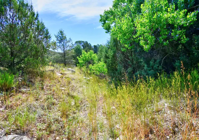 Photo 4 of Land for sale at 12141 Nm State 14, Cedar Crest, NM 87008 | MLS# 1039653 | Listing updated on 2026-09-10