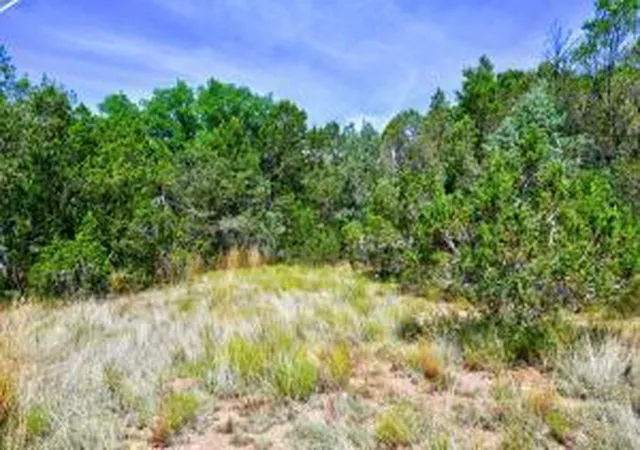Photo 3 of Land for sale at 12141 North Hwy 14, Cedar Crest, NM 87008 | MLS# 1040996 | Listing updated on 2026-09-10