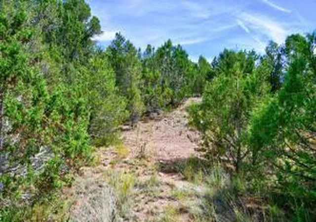 Photo 3 of Land for sale at 12141 North Hwy 14, Cedar Crest, NM 87008 | MLS# 1040996 | Listing updated on 2026-09-10