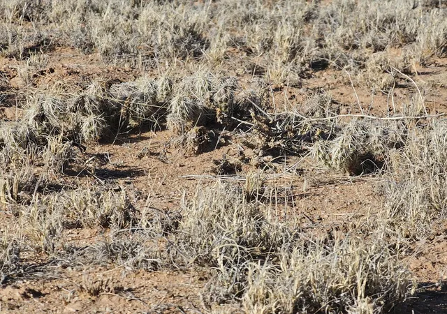 Photo 4 of Land for sale at Vl Rio Grande Estates L12 Blk 314 #7, Bernardo, NM 87006 | MLS# 1058168 | Listing updated on 2026-09-10
