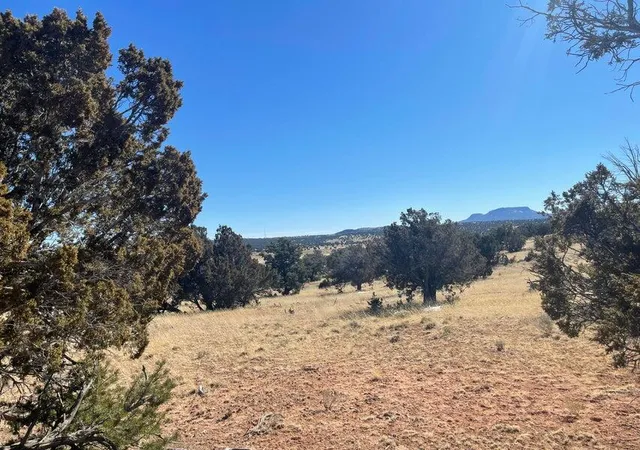Photo 4 of Land for sale at 319 Hwy 603, Pie Town, NM 87827 | MLS# 1061422 | Listing updated on 2026-09-19