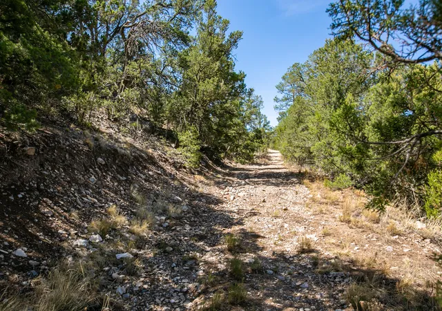 Photo 3 of Land for sale at 00 La Vista Grande, Sandia Park, NM 87047 | MLS# 1071390 | Listing updated on 2026-09-23