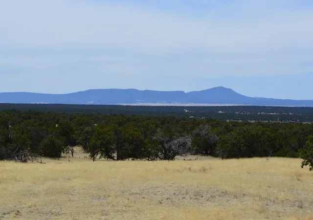 Photo 3 of Sale Pending at 618 Nm 603, Pie Town, NM 87827 | MLS# 1072460 | Listing updated on 2026-09-12