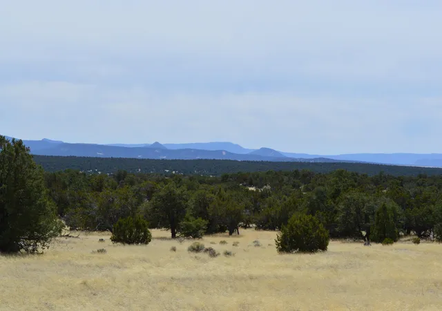 Photo 3 of Sale Pending at 618 Nm 603, Pie Town, NM 87827 | MLS# 1072460 | Listing updated on 2026-09-12