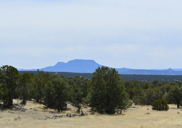 Photo 4 of Sale Pending at 618 Nm 603, Pie Town, NM 87827 | MLS# 1072460 | Listing updated on 2026-09-12