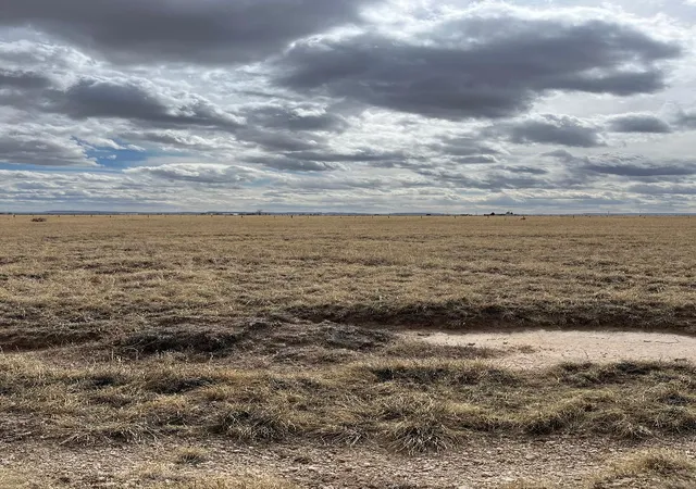 Land for sale at Cricket Lane Lot 21, Estancia, NM 87016 | MLS# 1078132
