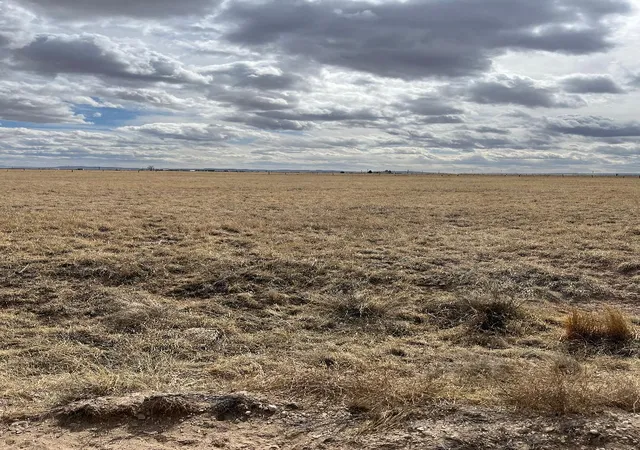 Land for sale at Cricket Lane Lot 20, Estancia, NM 87016 | MLS# 1078133