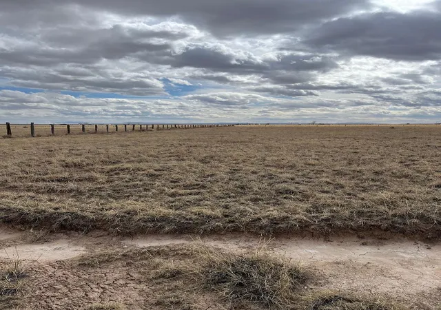 Land for sale at Cricket Lane Lot 22, Estancia, NM 87016 | MLS# 1078131