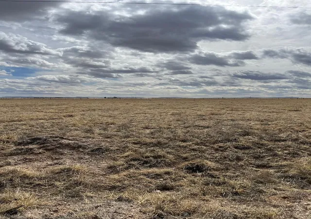 Land for sale at Cricket Lane Lot 19, Estancia, NM 87016 | MLS# 1078134