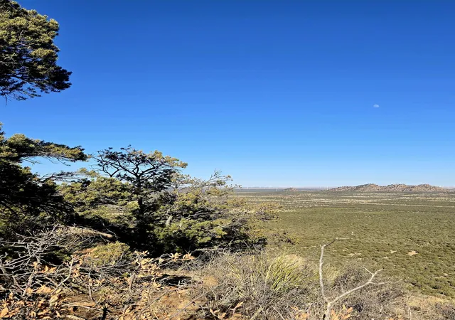 Photo 2 of Sale Pending at Lot 6 Crow Bait Trl, Corona, NM 88318 | MLS# 1079783 | Listing updated on 2026-08-31