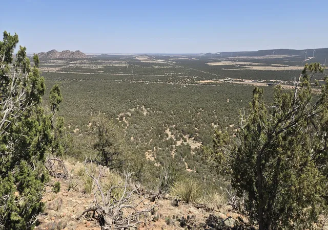 Photo 3 of Sale Pending at Lot 6 Crow Bait Trl, Corona, NM 88318 | MLS# 1079783 | Listing updated on 2026-08-31