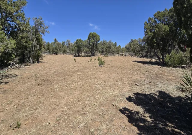 Photo 5 of Sale Pending at Lot 6 Crow Bait Trl, Corona, NM 88318 | MLS# 1079783 | Listing updated on 2026-08-31