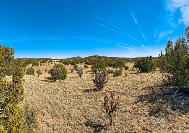 Land for sale at 65 Casper Ct, Moriarty, NM 87035 | MLS# 1081076