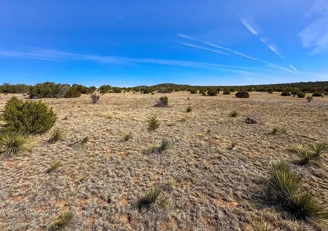 Photo 2 of Land for sale at 65 Casper Ct, Moriarty, NM 87035 | MLS# 1081076 | Listing updated on 2026-09-19