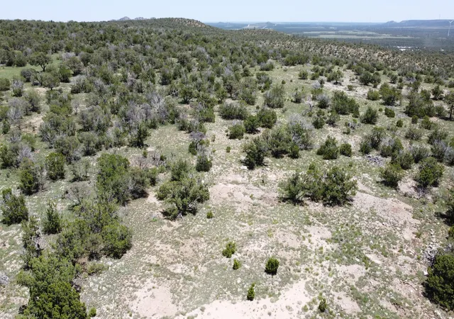 Photo 1 of Land for sale at Lot 17 Swayback Trail, Corona, NM 88318 | MLS# 1087766 | Listing updated on 2026-09-07