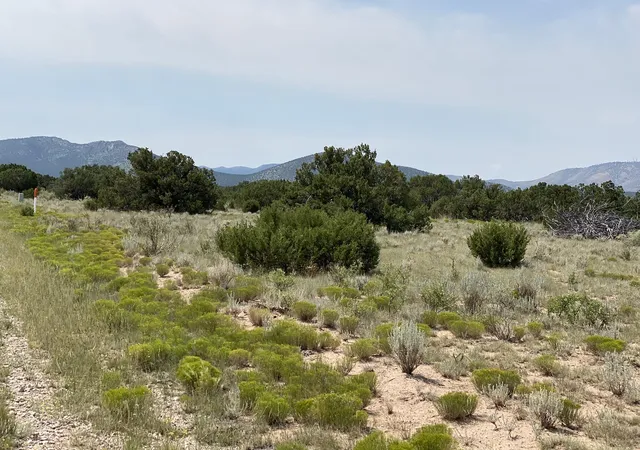 Photo 3 of Land for sale at Elk Rd Tract 7 Rd, Corona, NM 88318 | MLS# 1089937 | Listing updated on 2026-08-31