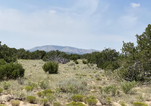 Photo 5 of Land for sale at Elk Rd Tract 7 Rd, Corona, NM 88318 | MLS# 1089937 | Listing updated on 2026-08-31