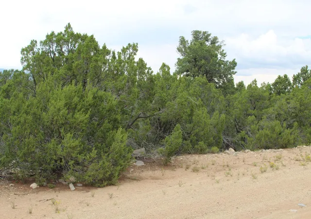 Photo 1 of Land for sale at 250 Five Hills Dr, Tijeras, NM 87059 | MLS# 1091327 | Listing updated on 2026-09-25