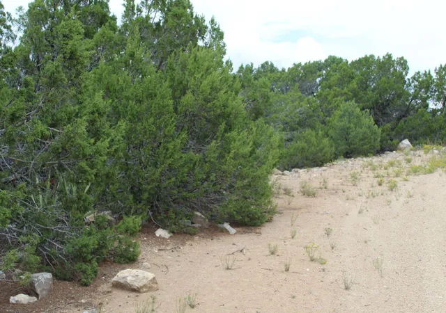 Photo 3 of Land for sale at 250 Five Hills Dr, Tijeras, NM 87059 | MLS# 1091327 | Listing updated on 2026-09-25