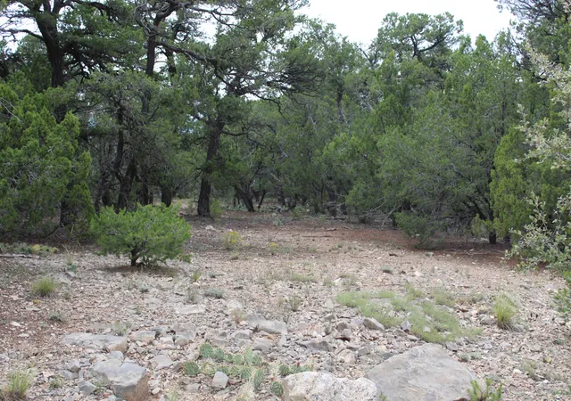 Photo 1 of Land for sale at 3 Manzano Loop, Tijeras, NM 87059 | MLS# 1091336 | Listing updated on 2026-09-25