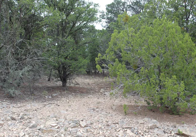 Photo 1 of Land for sale at 5 Manzano Loop, Tijeras, NM 87059 | MLS# 1091339 | Listing updated on 2026-09-25
