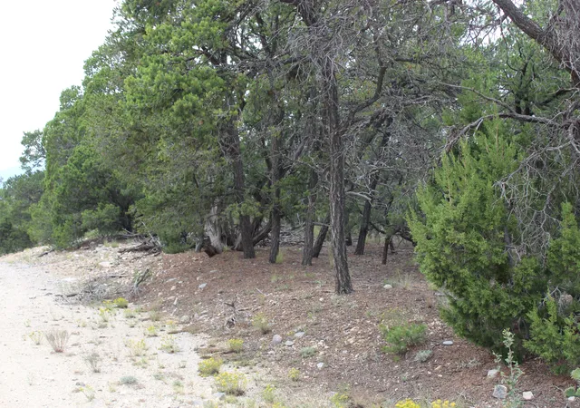Photo 2 of Land for sale at 5 Manzano Loop, Tijeras, NM 87059 | MLS# 1091339 | Listing updated on 2026-09-25