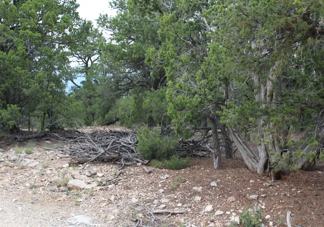 Photo 2 of Land for sale at 7 Manzano Loop, Tijeras, NM 87059 | MLS# 1091343 | Listing updated on 2026-09-25