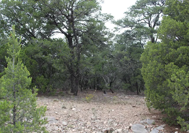 Photo 3 of Land for sale at 7 Manzano Loop, Tijeras, NM 87059 | MLS# 1091343 | Listing updated on 2026-09-25
