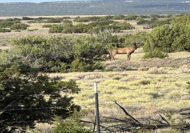 Photo 2 of Land for sale at Lot 130 Jolly Time Ln, Fence Lake, NM 87315 | MLS# 1091460 | Listing updated on 2026-09-15
