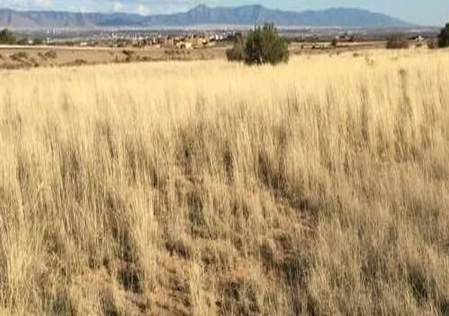 Photo 4 of Land for sale at Rainbow Blvd & Unser NW, Albuquerque, NM 87120 | MLS# 1093385 | Listing updated on 2026-09-18