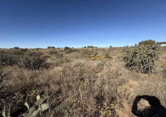 Photo 3 of Land for sale at NM | Lot 10 Quail,NM 88119 | MLS# 1094672 | Listing updated on 2026-09-15