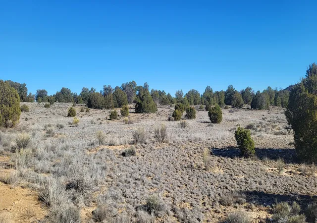 Photo 2 of Sale Pending at Tbd Arrowhead Rd, Ramah, NM 87321 | MLS# 1095599 | Listing updated on 2026-08-31
