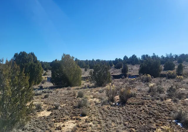 Photo 2 of Sale Pending at Tbd Arrowhead Rd, Ramah, NM 87321 | MLS# 1095599 | Listing updated on 2026-08-31