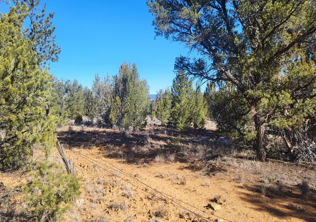 Photo 3 of Sale Pending at Tbd Arrowhead Rd, Ramah, NM 87321 | MLS# 1095599 | Listing updated on 2026-08-31