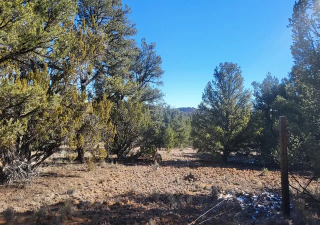 Photo 4 of Sale Pending at Tbd Arrowhead Rd, Ramah, NM 87321 | MLS# 1095599 | Listing updated on 2026-08-31